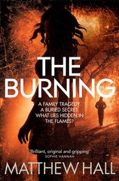 Book cover for Burning