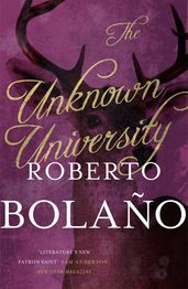 Book cover for The Unknown University