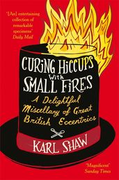 Book cover for Curing Hiccups with Small Fires