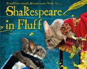 Book cover for Shakespeare in Fluff