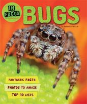 Book cover for In Focus: Bugs