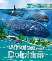 Book cover for Explorers: Whales and Dolphins