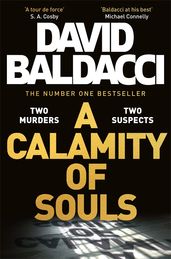 Book cover for A Calamity of Souls