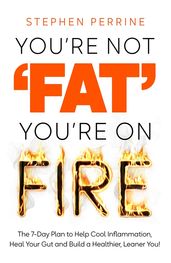 Book cover for You're Not Fat, You're on Fire