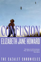 Book cover for Confusion