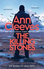 Book cover for The Killing Stones