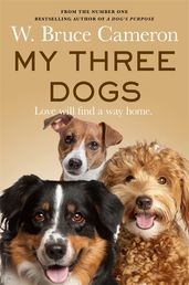 Book cover for My Three Dogs