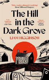 Book cover for The Hill in the Dark Grove