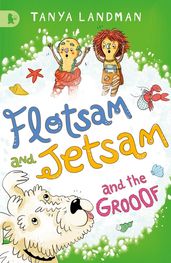 Book cover for Flotsam and Jetsam and the Grooof