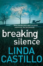 Book cover for Breaking Silence