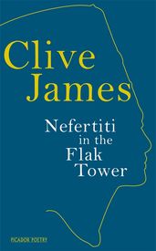 Book cover for Nefertiti in the Flak Tower