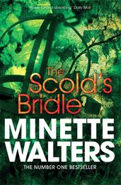 Book cover for The Scold's Bridle