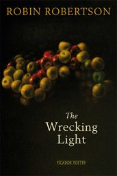 Book cover for The Wrecking Light