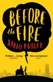 Book cover for Before the Fire