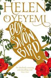 Book cover for Boy, Snow, Bird 