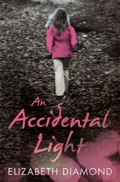 Book cover for An Accidental Light