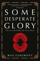 Book cover for Some Desperate Glory