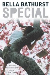 Book cover for Special