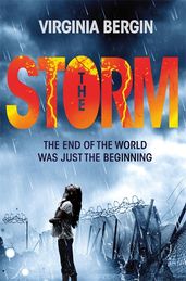 Book cover for The Storm