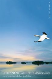 Book cover for Snow Geese