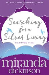 Book cover for Searching for a Silver Lining