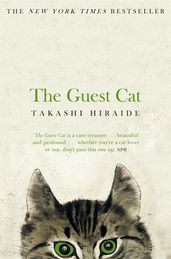 Book cover for The Guest Cat