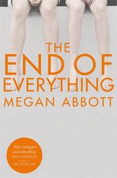 Book cover for The End of Everything