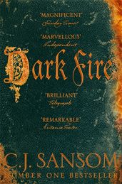 Book cover for Dark Fire