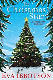 Book cover for The Christmas Star