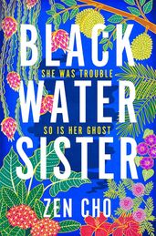 Book cover for Black Water Sister