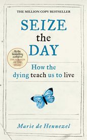 Book cover for Seize the Day