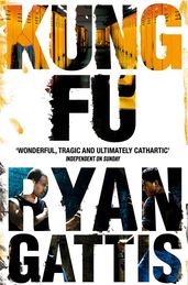 Book cover for Kung Fu