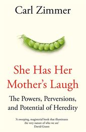 Book cover for She Has Her Mother's Laugh