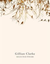 Twelve beautiful winter poems - Pan Macmillan