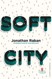 Book cover for Soft City