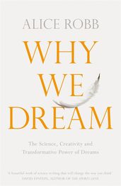 Book cover for Why We Dream
