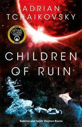 Book cover for Children of Ruin