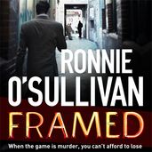 Book cover for Framed