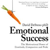 Book cover for Emotional Success
