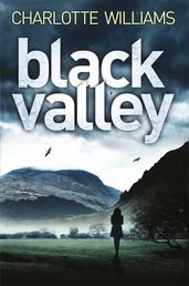 Book cover for Black Valley