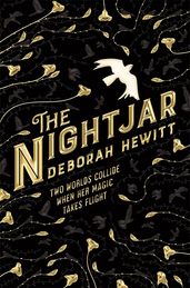 Book cover for Nightjar