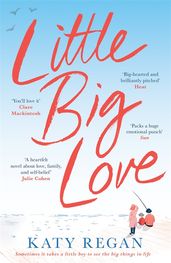 Book cover for Little Big Love