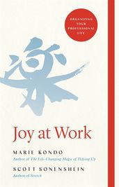 Book cover for Joy at Work