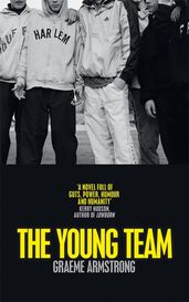 Book cover for The Young Team