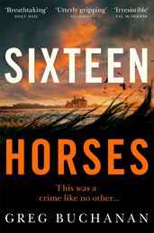 Book cover for Sixteen Horses
