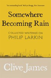 Book cover for Somewhere Becoming Rain