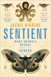 Book cover for Sentient