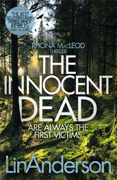 Book cover for Innocent Dead