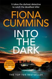 Book cover for Into the Dark 