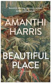 Book cover for Beautiful Place